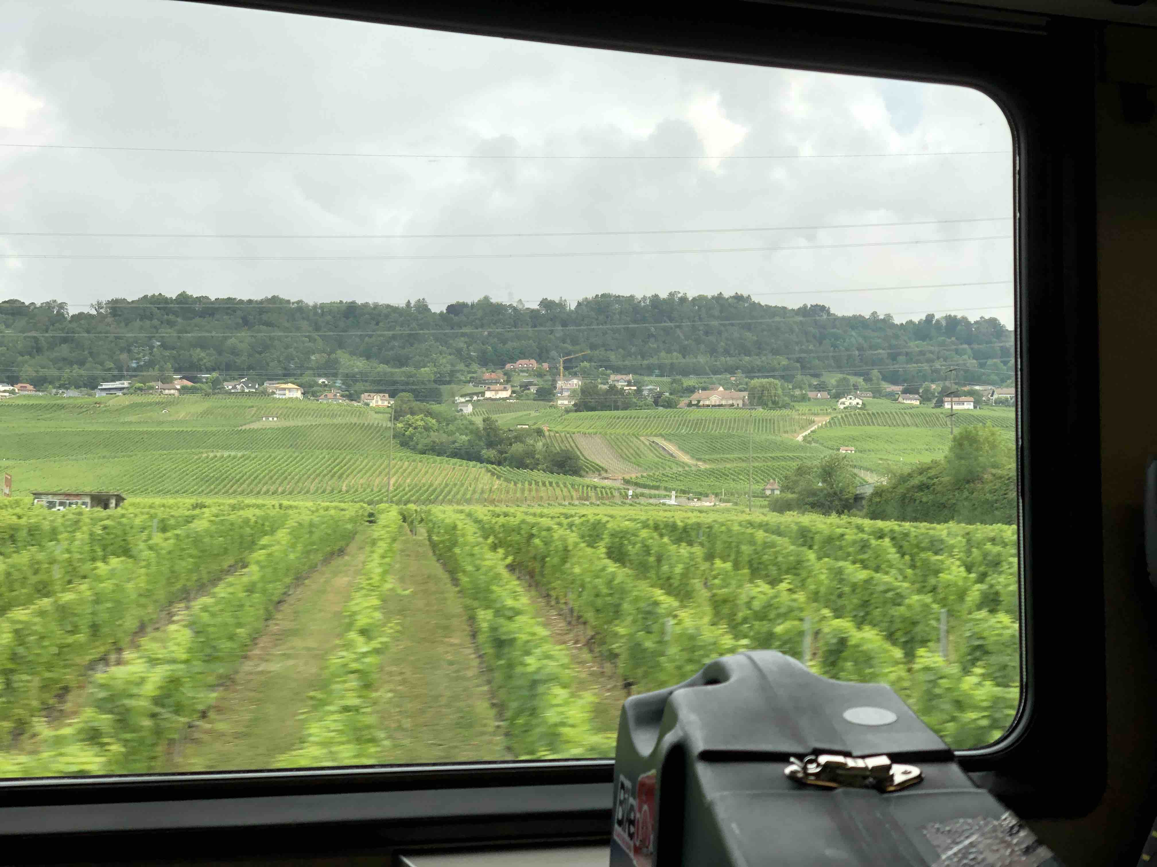 View out over the Switzerland countryside from a train window, going from Geneva to Montreux with BikeBoxAlan case