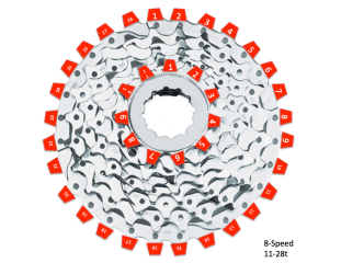 Numbers tagged around the number of teeth on an 11-28 bicycle rear cassette