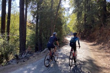 A beginner's guide to understanding how to buy the main component of your road bike. Image contains: Factor O2 VAM, Specialized Roubaix, trees, filtered light, road, bicycle riders, bicycle helmet.