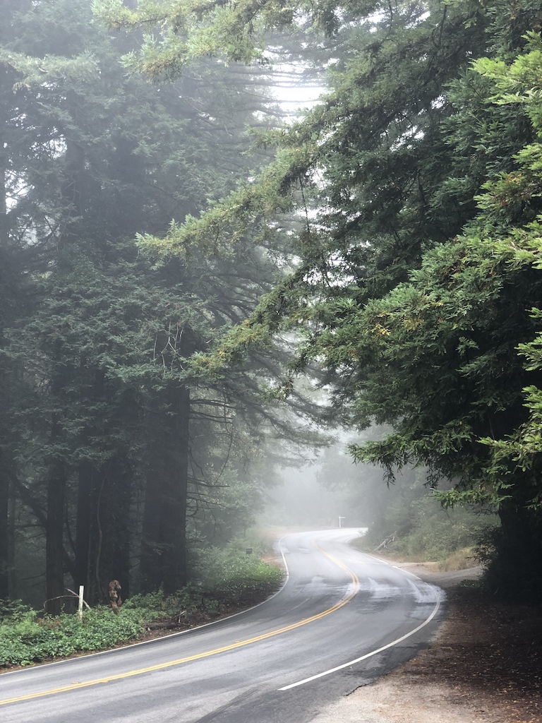 Fog along Skyline blvd at the top of Old La Honda, affectionately known as Karl in the Bay Area.