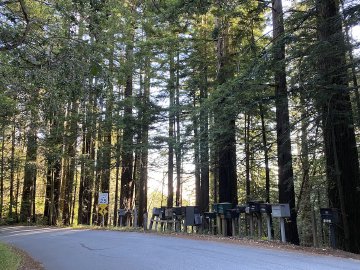 This was actually the start of an incredibly long day, but it was so fun seeing the top so early in the morning! Morning sunrise through the trees at the mailboxes located at the top of Old La Honda road in June.