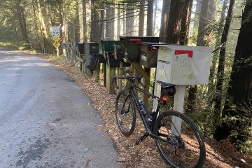 A favorite cycling ride in the Bay Area, Old La Honda road is a relatively well maintained and quiet road that nearly every cyclist in the area has done more than once. Image contains: bicycle, mailboxes, road, forest, trees.