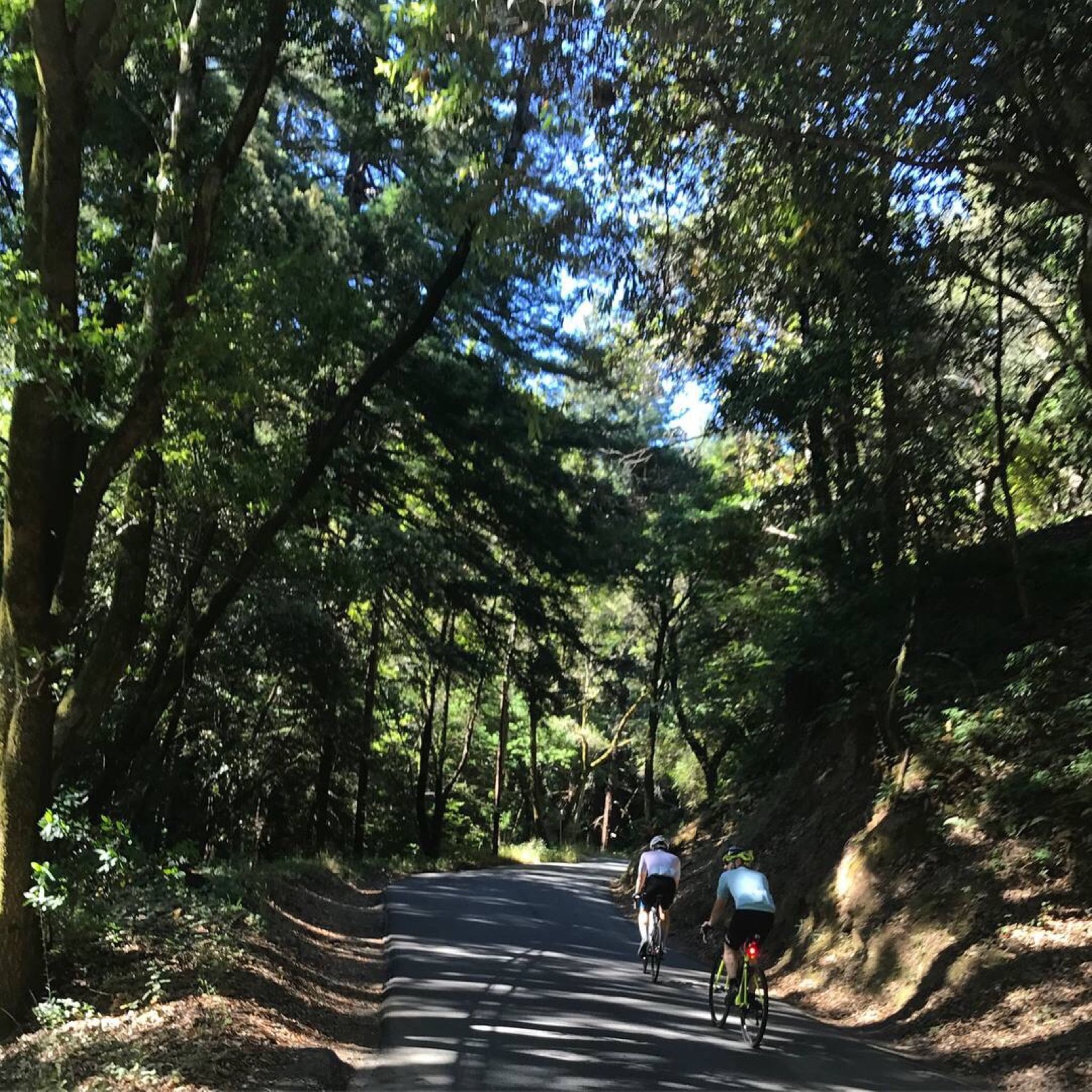 Two cyclists about to ascend up Old La Honda road near Woodside, California on a hot day in summer.