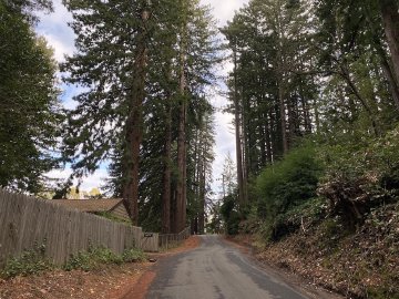 There are a few houses in this little section, and I think they're subdivided into half units or something. House behind a fence most of the way up on Old La Honda Road.