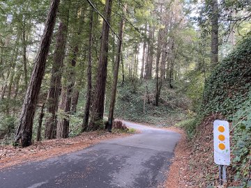 "One!" This is it, boys and girls! Road reflector near the top of Old La Honda road that shows a cyclist that they are almost to the top.