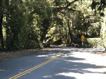 Watch out for cars coming in from the main road while you grab that snack! Main entrance to Old La Honda road, coming from Portola Road.