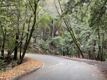 No cars this day, but it's usually quite full on weekends. Bend in Old La Honda Road at the Thornewood Preserve, where cars often park before people go hiking.
