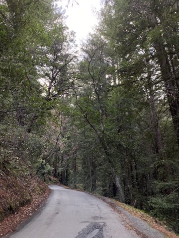I love how you can see the road through the trees here as it winds back around on itself. Winding road on Old La Honda Road near a horse ranch about halfway up.