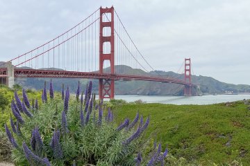 It's truly a spectacle to behold View of the Golden Gate Bridge in San Francisco