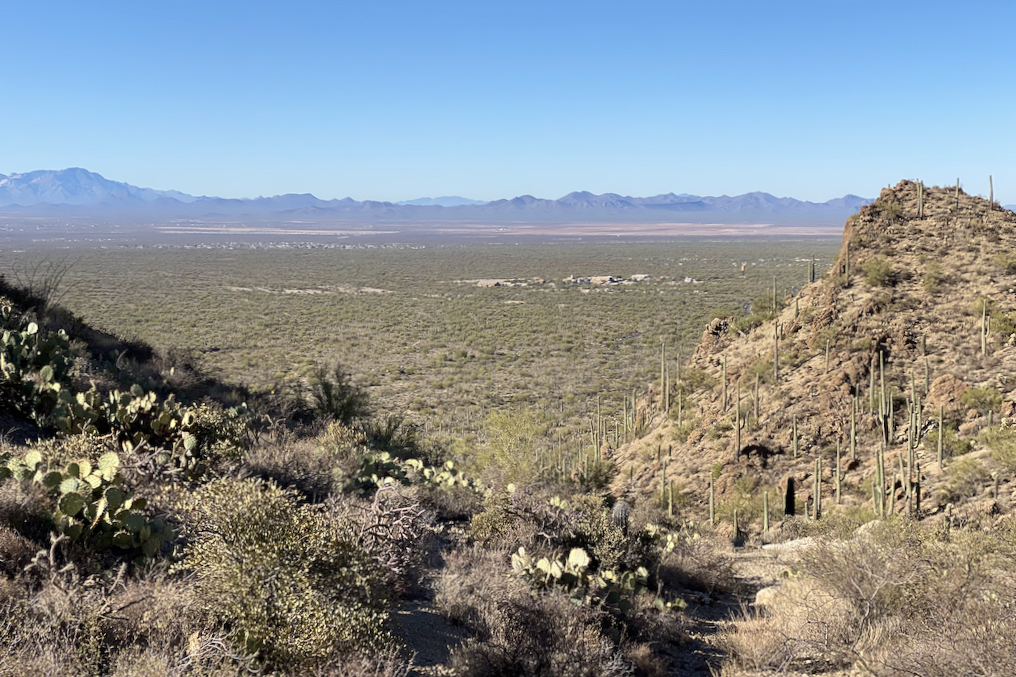 Gate's Pass and its rolling hills and wonderful road quality is an incredible climb near Tucson. Image contains: Saguaro cactuses, hiking trail, mountains, desert view.