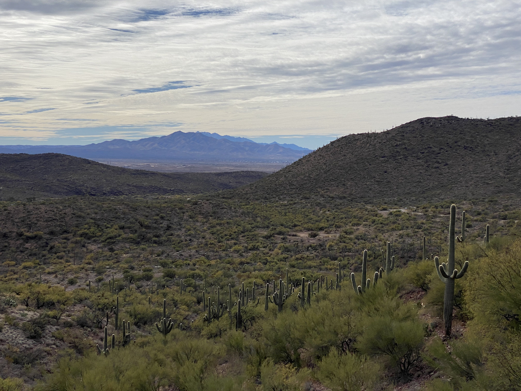 View looking east from the Colossal Cave entrance area, overlooking some incredible Saguaro Cactuses.
