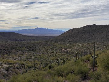 This view is just near the entrance along a paved path, and it was a nice place to sit and look out for a while. View looking east from the Colossal Cave entrance area, overlooking some incredible Saguaro Cactuses.