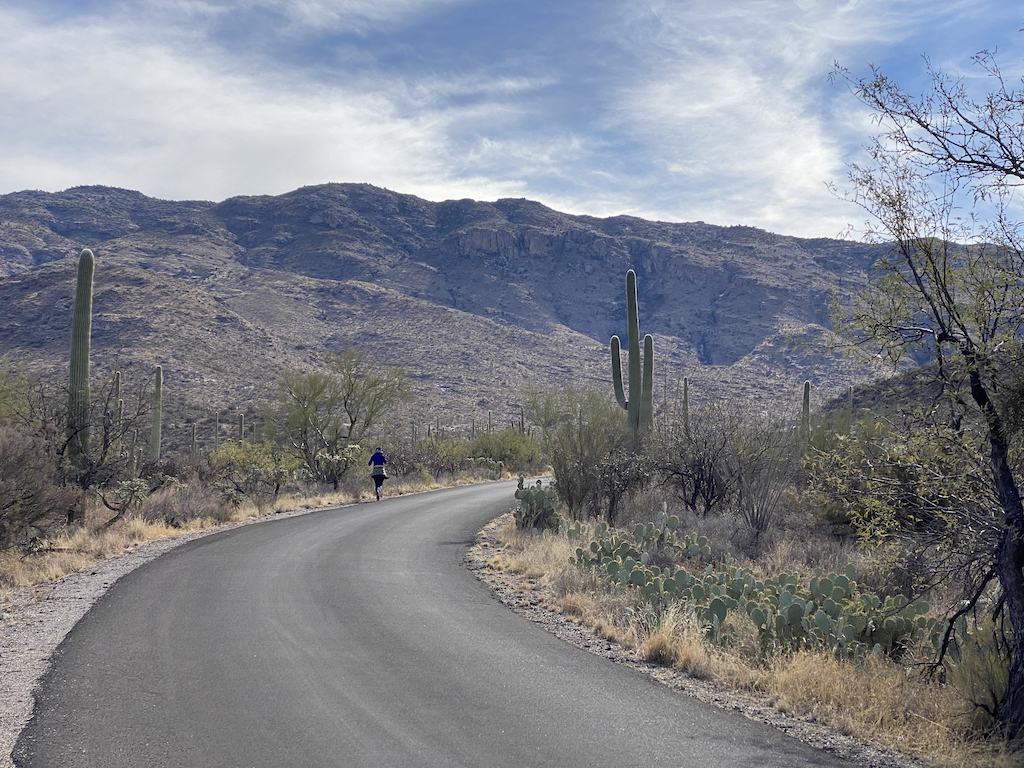 View out over Saguaro National Park East with runner in the distance