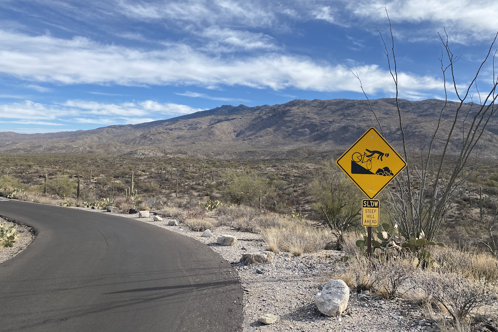 The east side of Saguaro National Park is easily reachable, both in distance and in skill level of cyclist. Image contains: road sign, cactus, desert landscape.