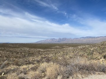 It's hard to convey how cool this looks in person, and it's relatively easy to get to. View overlooking Tucson to the west from the top of Saguaro National Park East.