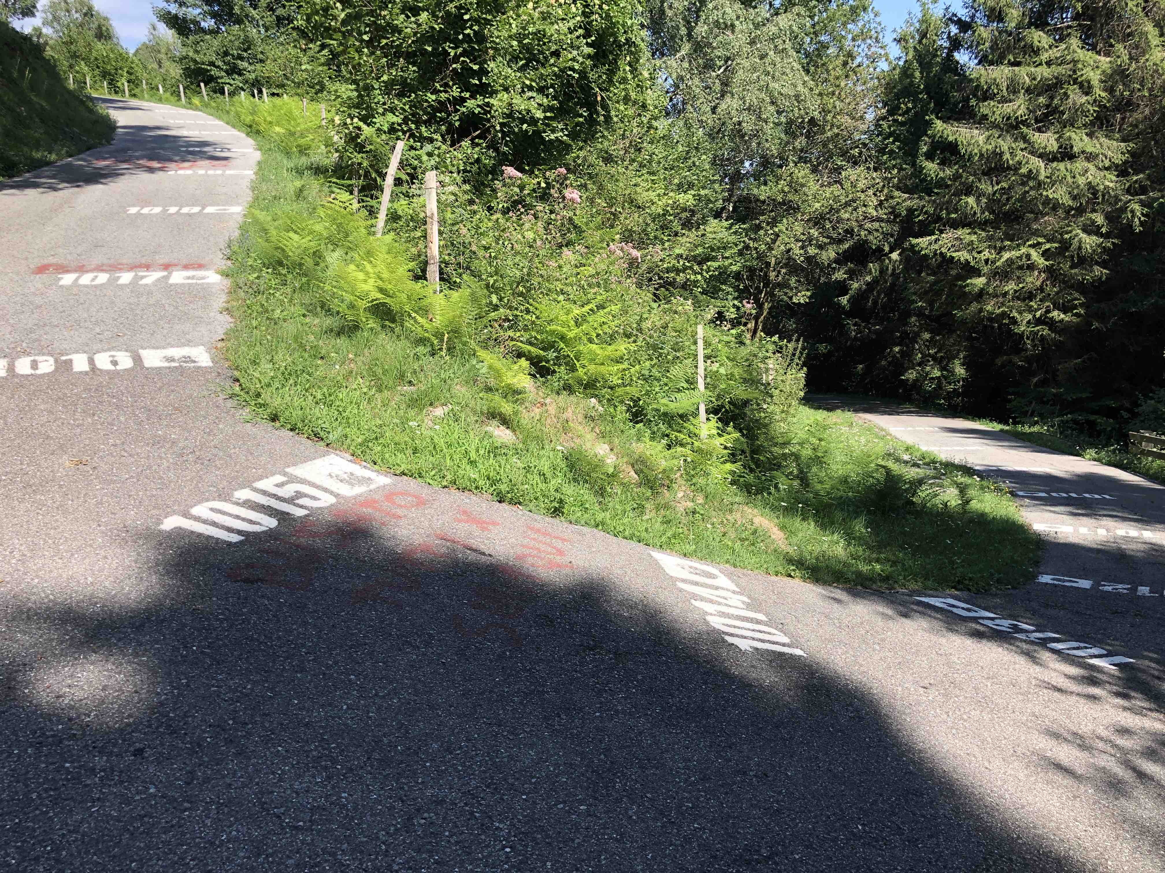 Painted numbers representing elevation in meters on the pavement of famous Muro di Sormano cycling climb