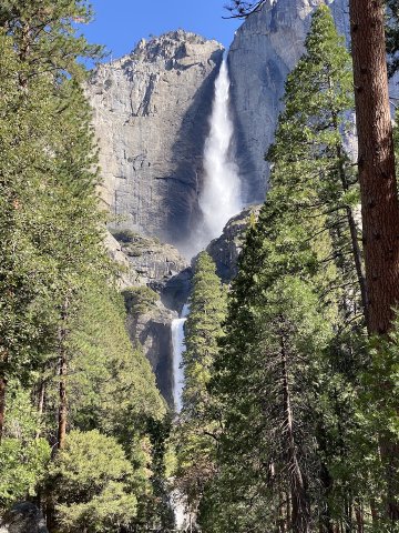This picture does NOT do it justice! Yosemite Falls viewed from near Yosemite Lodge in Yosemite Valley, California. width: 75