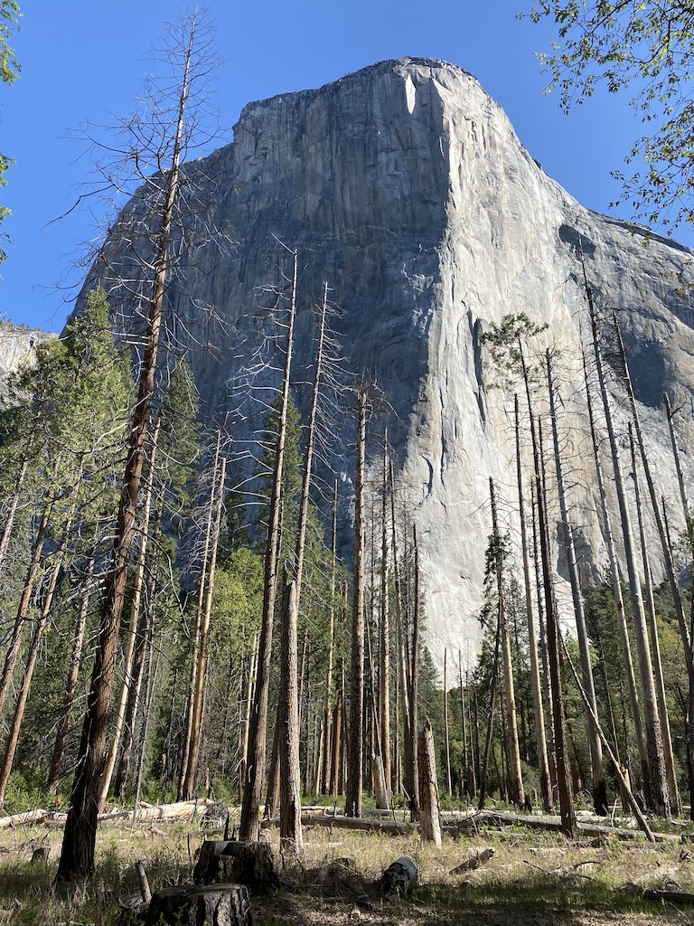Front side view of El Capitan in Yosemite Valley, California, taken from the Yosemite Valley Loop road.