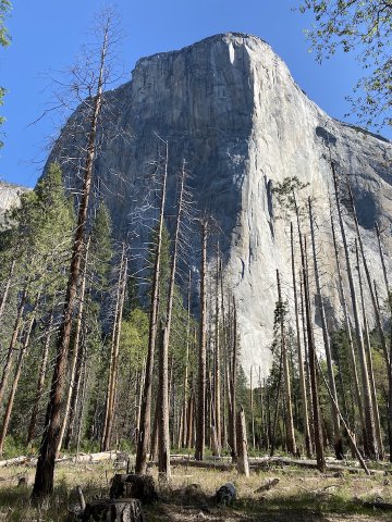 Incredible to think people climb this! Front side view of El Capitan in Yosemite Valley, California, taken from the Yosemite Valley Loop road.