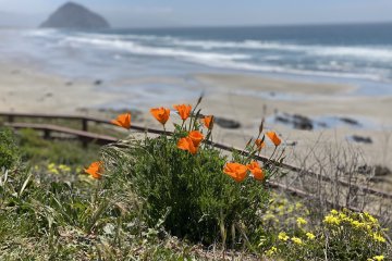 Reflecting Back on my Solo Central Coast Ride Camp