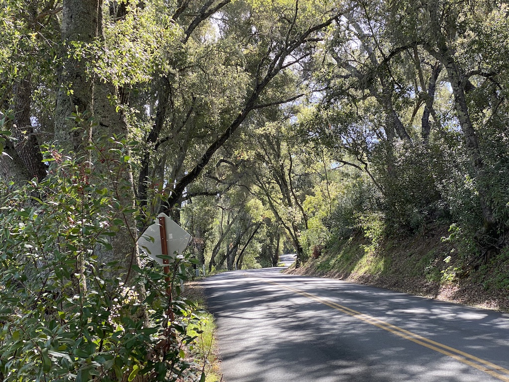 A beautiful winding section of road perfect for cycling out near Adelaida winery in Paso Robles, California