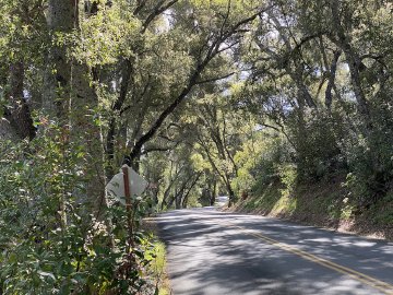 I just had to stop for this. It was too beautiful in that filtered light that day. A beautiful winding section of road perfect for cycling out near Adelaida winery in Paso Robles, California