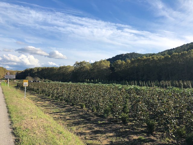 Farm near Santa Coloma de Farners