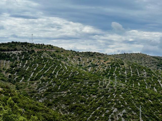 Terracing for various properties along steep slopes in Hvar, Croatia