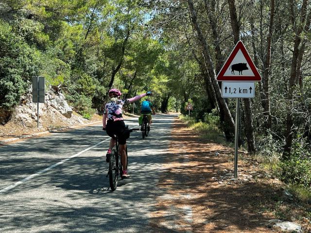 Cyclist pointing to a sign for wild boars on Mljet