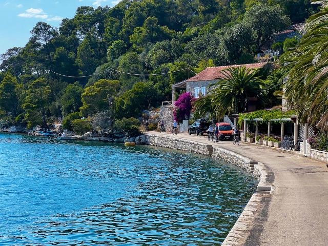 Cyclists riding on a road along the water in Mljet, Croatia