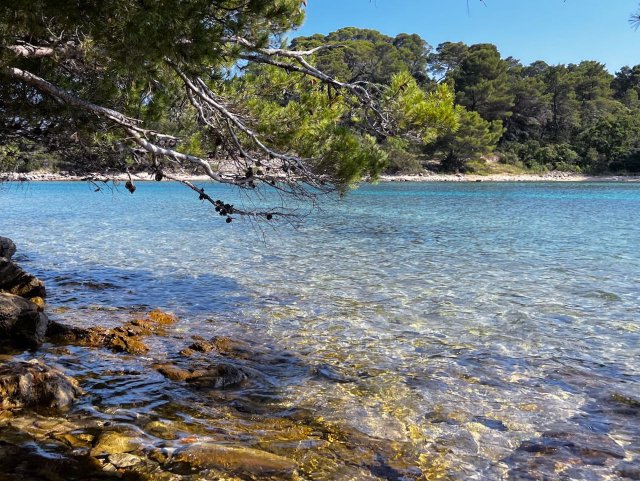 View out over the water in Mljet under the shade of a tree