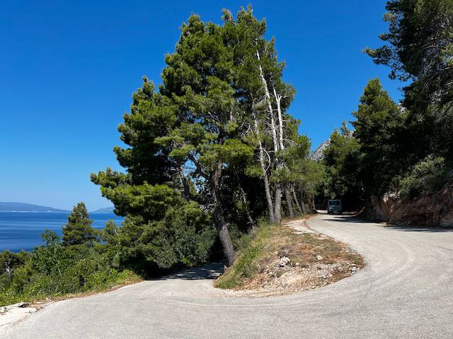 Bend in the road along the Croatian peninsula with dry trees and ocean view