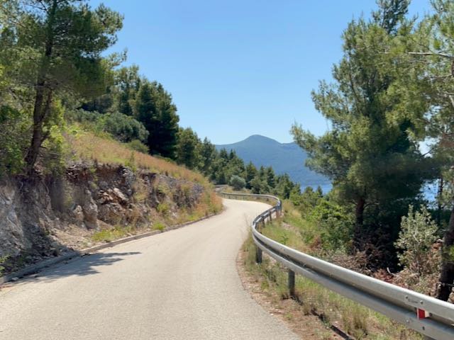 Trees surrounding a coastal road along the Croatian peninsula