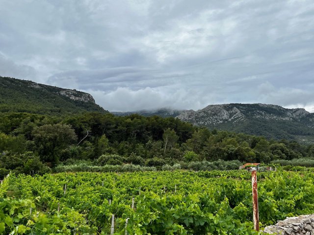 View up into the mountains of Hvar, near Stari Grad