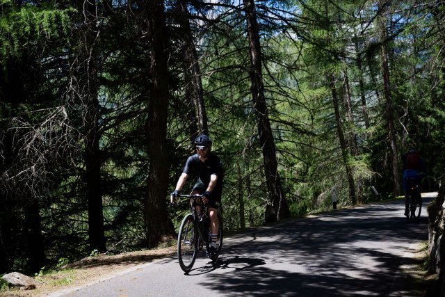 Cyclist riding through the trees near the base of the Passo Gavia.