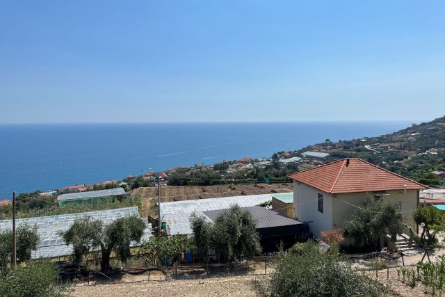 Home with olive trees overlooking the Mediterranean Sea along the Cipressa climb in Italy
