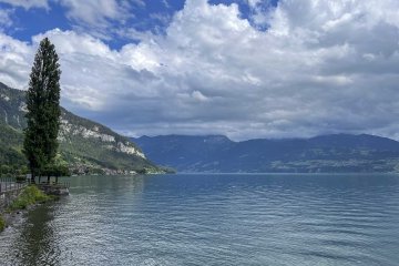 Remarkably peaceful through there, too. View looking east along Lake Thun on the north side