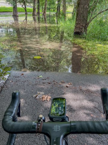 Yeah, not easily going through there, am I? Flooded out bike path in Lago di Piano nature preserve near Menaggio, Italy