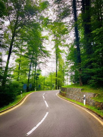 Winding road up the Buchenegg climb in Zürich, Switzerland