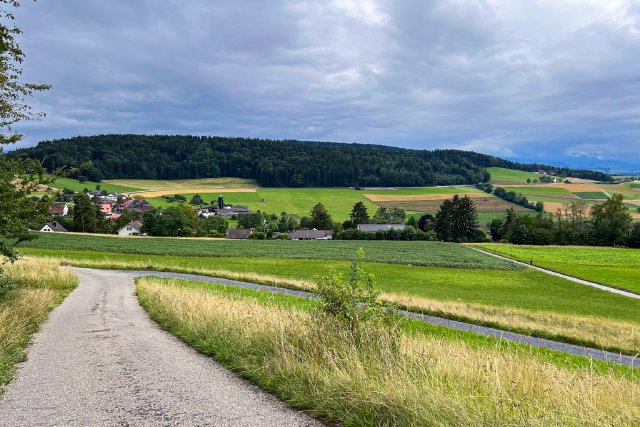 View of fields in Vogelbachweg wildlife preserve outside of Zürich, Switzerland