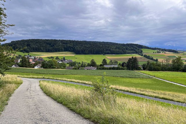 View of fields in Vogelbachweg wildlife preserve outside of Zürich, Switzerland