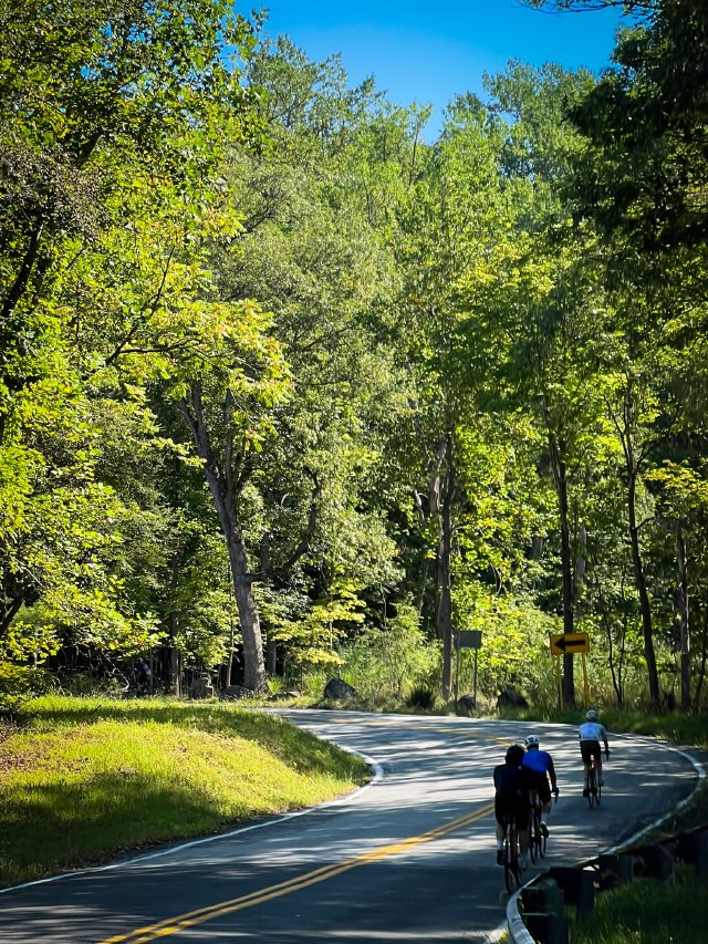 Cyclists riding along a tree lined road in New Jersey